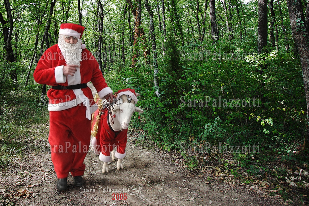 Natale 2005.Babbo Natale Nel Bosco 2005 Fotoblog Sara Palazzotti